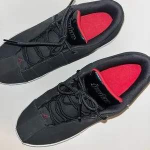 Jordan Shoes Never Worn Air Jordan Team Elite Low 27 Size 65